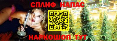 гидропоника Обнинск