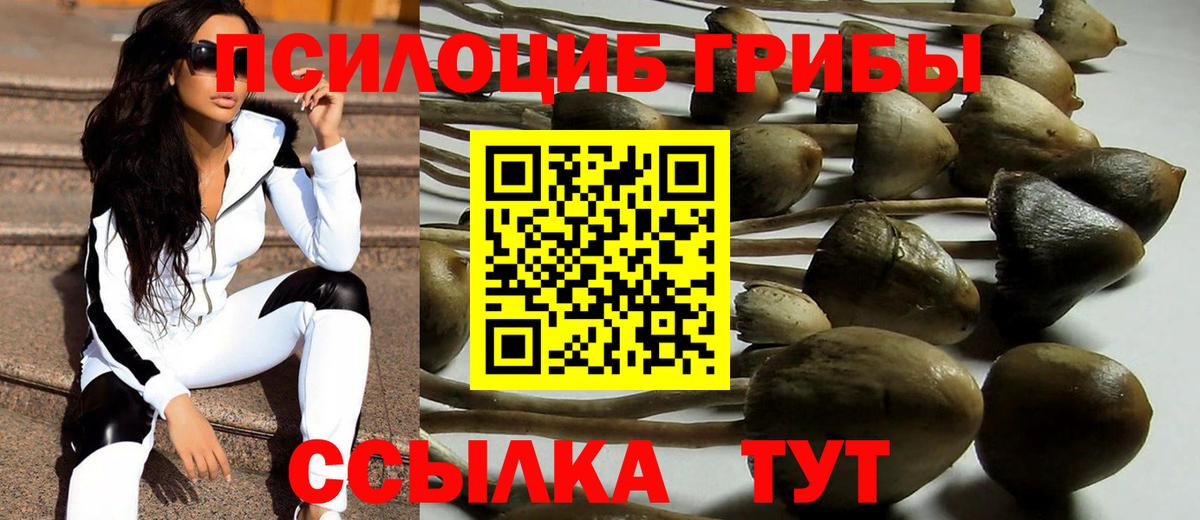 Галлюциногенные грибы Cubensis Пушкино