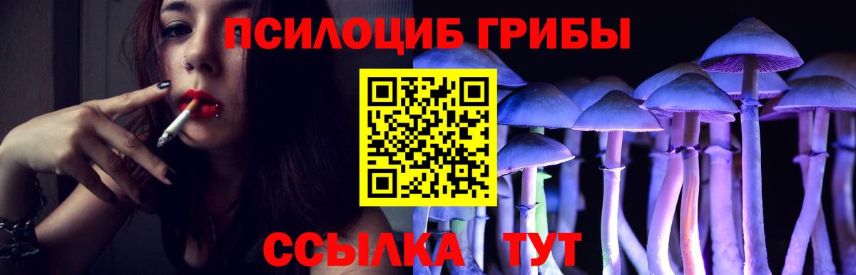 Псилоцибиновые грибы Cubensis  Вход с VPN  Пушкино  Галлюциногенные грибы прущие грибы 